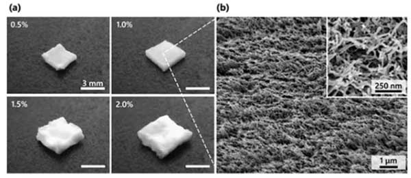 東京大學制備出一種隔熱、阻燃的中孔納米纖維素干凝膠